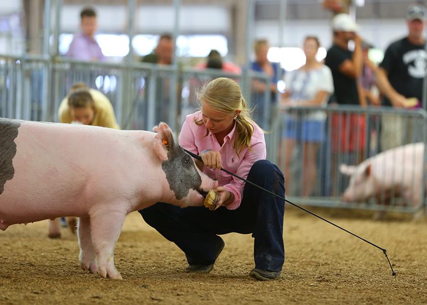 6 Ways to Protect Pigs and People at the County Fair Pork Business